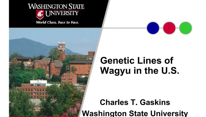 WSU “Genetic Lines Of Wagyu In The U.S.” – Gaskins – 7/24/2008