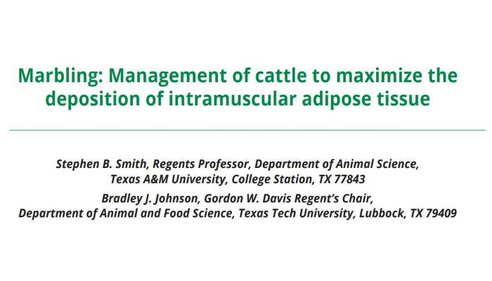 Marbling:  Management Of Cattle To Maximize The Deposition Of Intramuscular Adipose Tissue