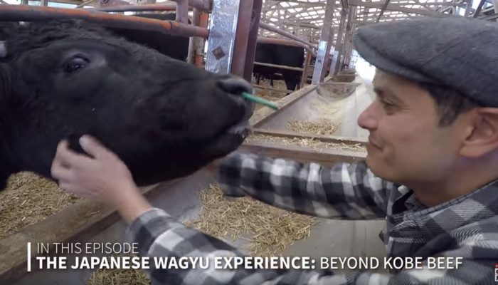VIDEO:  The Japanese Wagyu Experience:  Beyond Kobe Beef – John Daub