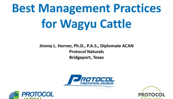 Jimmy Horner Of Protocol Naturals On Feeding Wagyu Cattle – Presentation At The 2019 AWA Conference